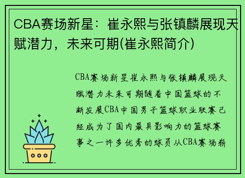 CBA赛场新星：崔永熙与张镇麟展现天赋潜力，未来可期(崔永熙简介)