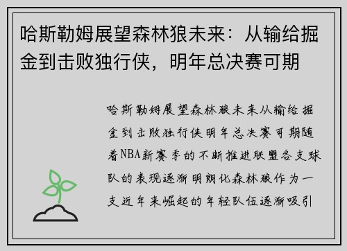 哈斯勒姆展望森林狼未来：从输给掘金到击败独行侠，明年总决赛可期